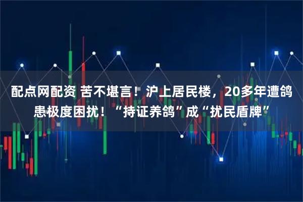 配点网配资 苦不堪言！沪上居民楼，20多年遭鸽患极度困扰！“持证养鸽”成“扰民盾牌”