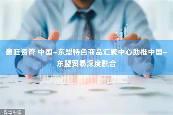 鑫旺资管 中国—东盟特色商品汇聚中心助推中国—东盟贸易深度融合