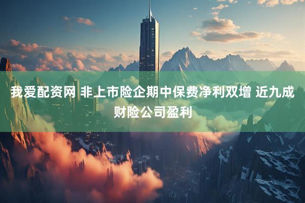 我爱配资网 非上市险企期中保费净利双增 近九成财险公司盈利